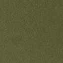 RAL1035