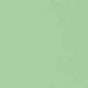 RAL6019