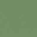 RAL6021