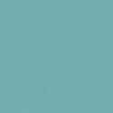 RAL6027